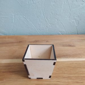 B/cactus boule haute n°2 avec pot