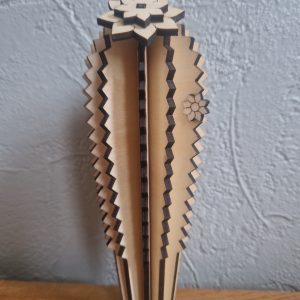 B/cactus cierge n° 4 avec pot