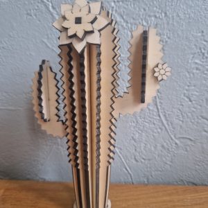 B/cactus cierge avec bras n° 5 avec pot