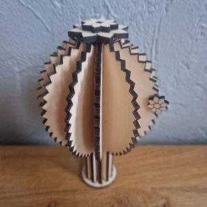 B/cactus boule n° 1 avec pot