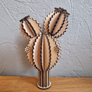 B/cactus triple boule n°3 avec pot