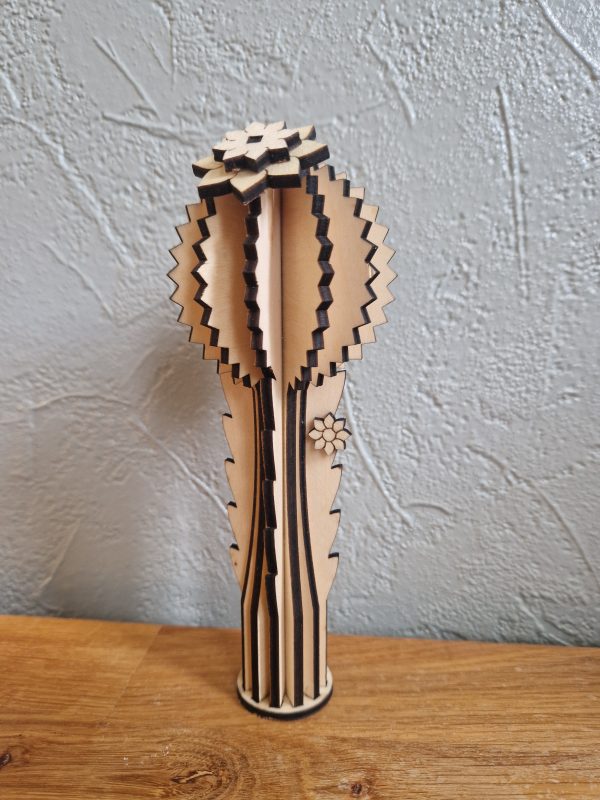 B/cactus boule haute n°2 avec pot