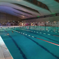 421225628_917693780005358_3960407408264602203_n