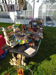 436120490_270011416123860_6963404169012001647_n