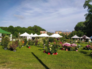 438299663_369457292791712_3930198038381105067_n