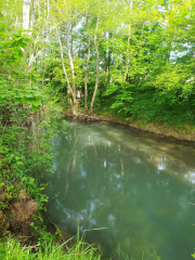 439407166_1834656913719043_7475416397849522518_n