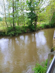 440882488_2177010629305868_4982805494931557513_n