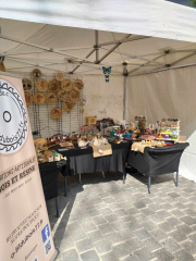 441104583_2469939023213593_4535461542258416067_n