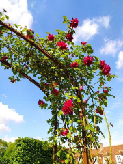 444782527_968663821198815_5195191879924013995_n