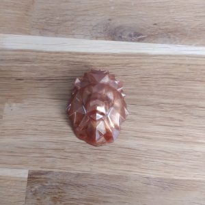 R/Tête de lion- magnet marron
