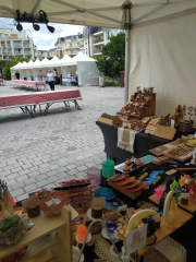 448101451_452784970725812_7051283199958327079_n