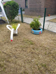 448108561_1492171058174608_4381106345213702508_n