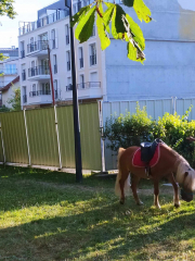 449260689_437857739146512_1520246445470019154_n