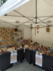 449760241_8172252926142362_4113546513442823517_n