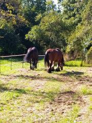 456246689_1523606531630055_6528034571202637455_n