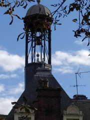 458650472_1245378419799126_4173755339859749313_n