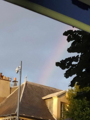 459323271_799725142083666_3007837389909548247_n