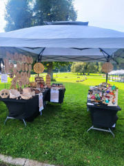 459456086_1253537619164921_6199795066650304401_n