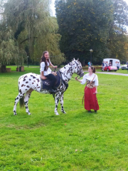 459534677_7690219614411505_3390957867134892555_n