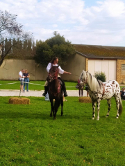 459620605_547873297630095_3579353343372765583_n