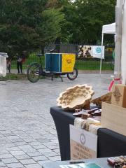 461009231_1742739499797842_840004645459046323_n