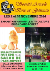 458281312-2594747180914271-3075257814558607154-n