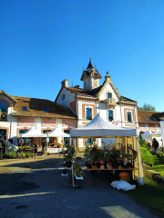 461433750_567487722285044_4250584253200015450_n