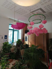 461472647_1239339847197095_141024249017931147_n