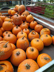 461994153_1499348927384576_2311931676273004432_n