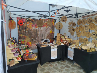 462543275_547279981224812_546754231689499712_n