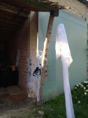 462543303_476210428769543_1282263435404328890_n