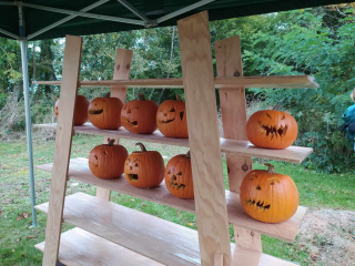 462553081_1276069350415278_6262764825093109437_n