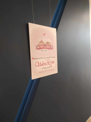 462558343_3733603040301898_6888393119929404043_n