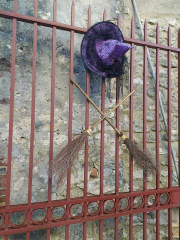 462558369_3840289376211102_7645532983179451693_n