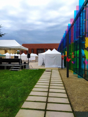 462561105_893428085633783_8586893023601982024_n