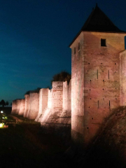 462562568_1228635698347818_3331736297634489688_n