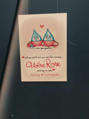 462563855_906684437463428_2739113623712563047_n