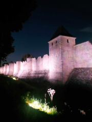 462568027_1487924271914567_6996729877556658133_n