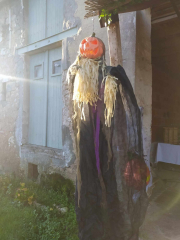 462637749_1262300224783118_3175022579648766300_n