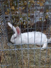 462543749_931382965549096_5023926251964371566_n