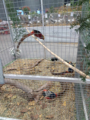 462551529_1319772338991436_8999089989938935980_n