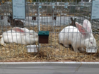 462563523_3864438957144554_8470841169956090525_n