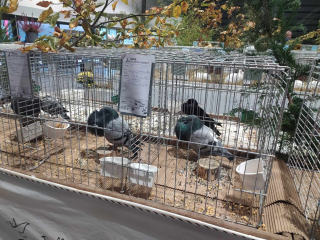 462581095_1530662037654182_7304697170882924453_n