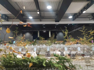 462642654_8736979943005867_4841809418328726131_n