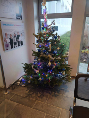 462556509_562674260017401_5274526752481423781_n