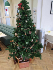 462570110_1088367099505466_2233246619324906083_n