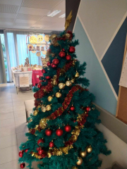 462573005_1017619157049072_2650196093380460153_n