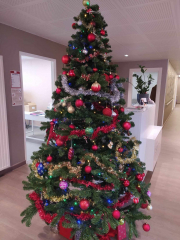 462574539_1127055225796474_9209499516109762012_n