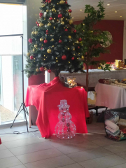 462581697_484316777449032_6457310327631420146_n