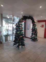 462586854_2224099767974213_1890459844323995626_n